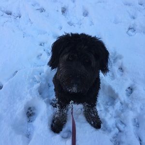 Meet your Posher, Stephen